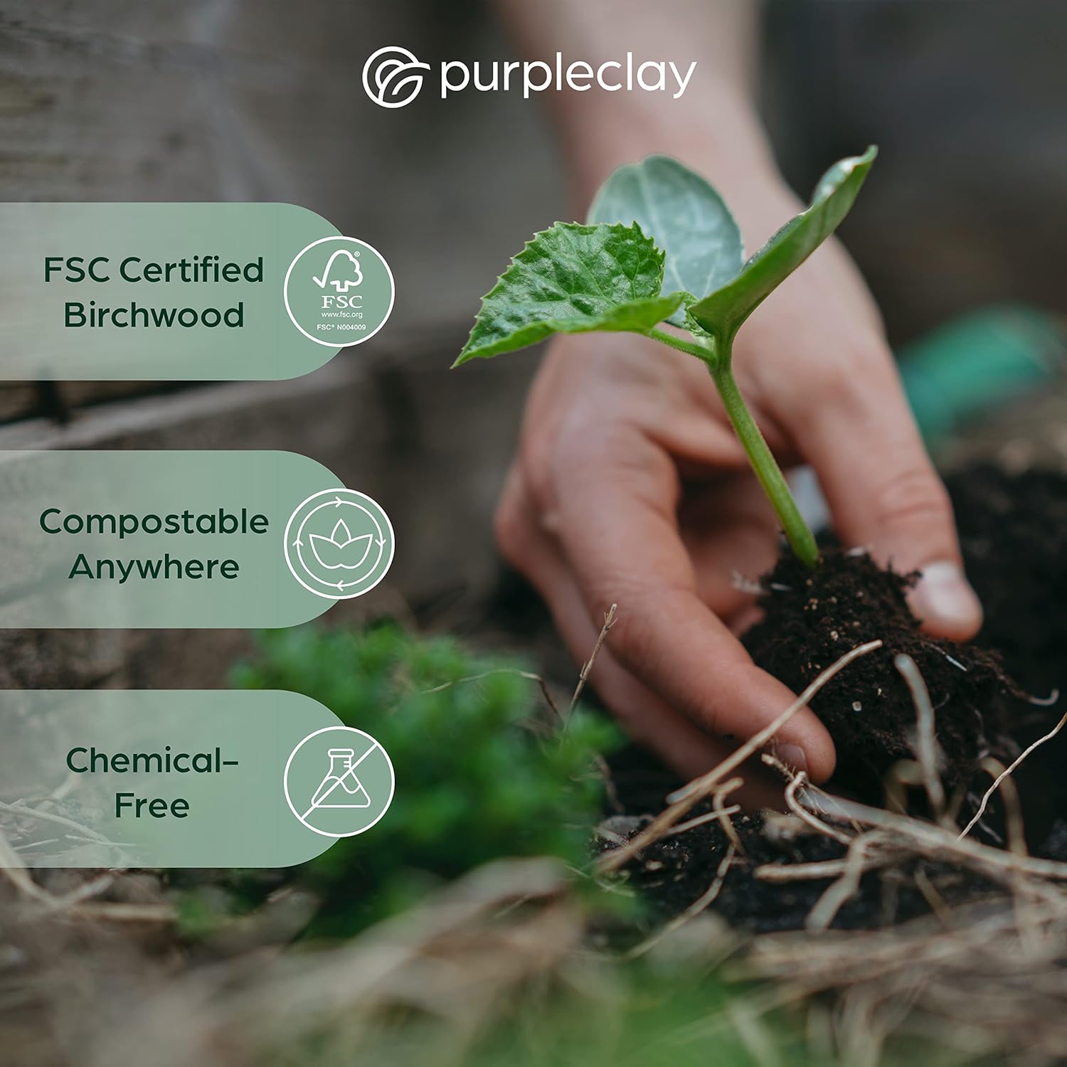 PURPLECLAY Wooden Disposable Forks (300 PCS) FSC Certified Wood Compostable Forks, Eco-Friendly Compostable Utensils for Party, Plastic-Free Wood Utensil, Bamboo Utensils Alternative, Fork for Eating - Image 5