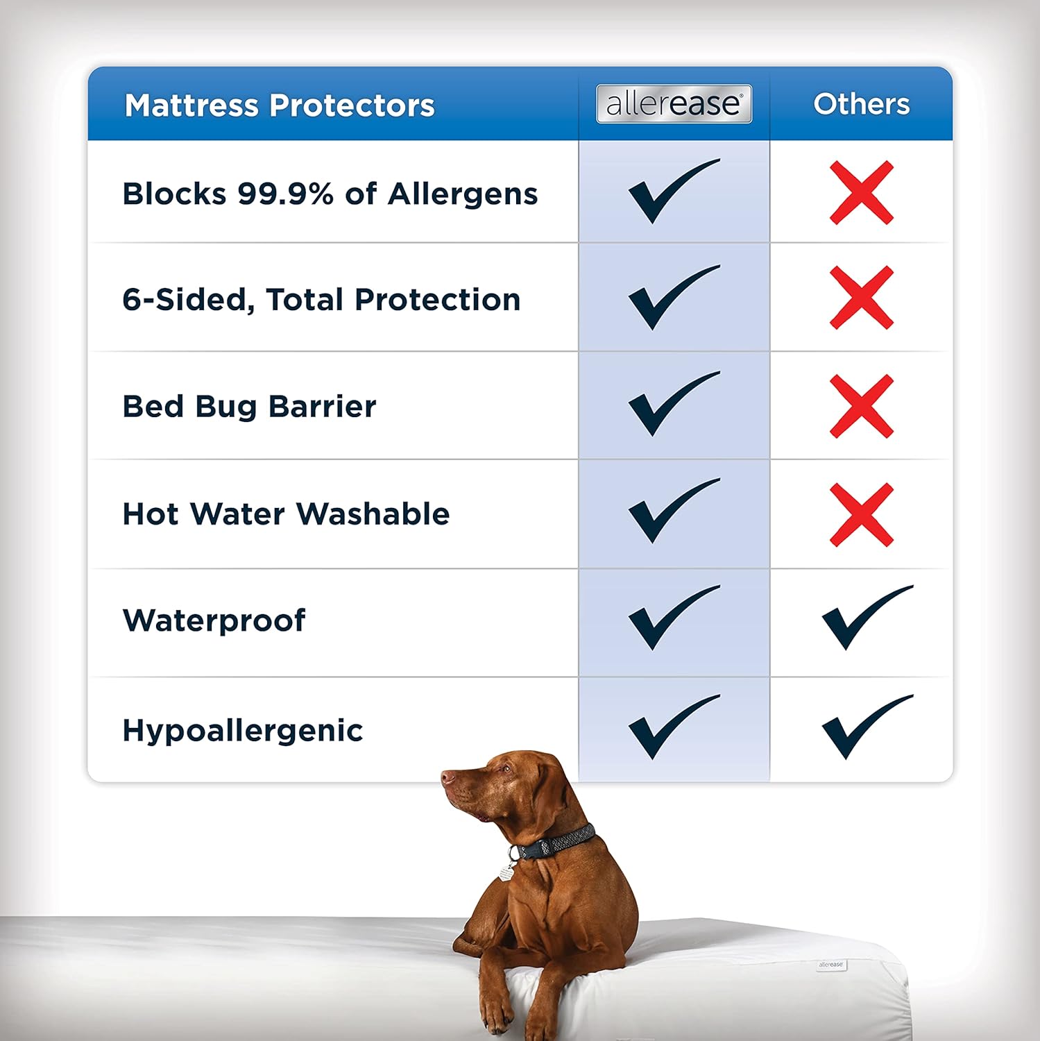 AllerEase Waterproof Mattress Protector, Maximum Allergy Mattress Protector, Twin Mattress Cover - Image 4