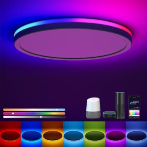 Matane Smart LED Ceiling Light WiFi...