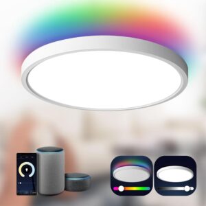 TALOYA Smart Ceiling Light Flush Mo...