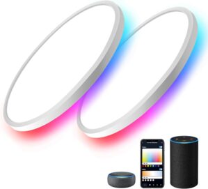 MELEGAN 2Pcs RGB Smart Ceiling Ligh...