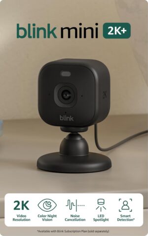 Blink Mini 2K+ (newest model) – P...