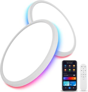 2 Pack Smart RGB LED Ceiling Light ...