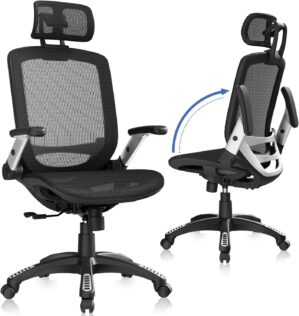GABRYLLY Ergonomic Office Chair, Hi...