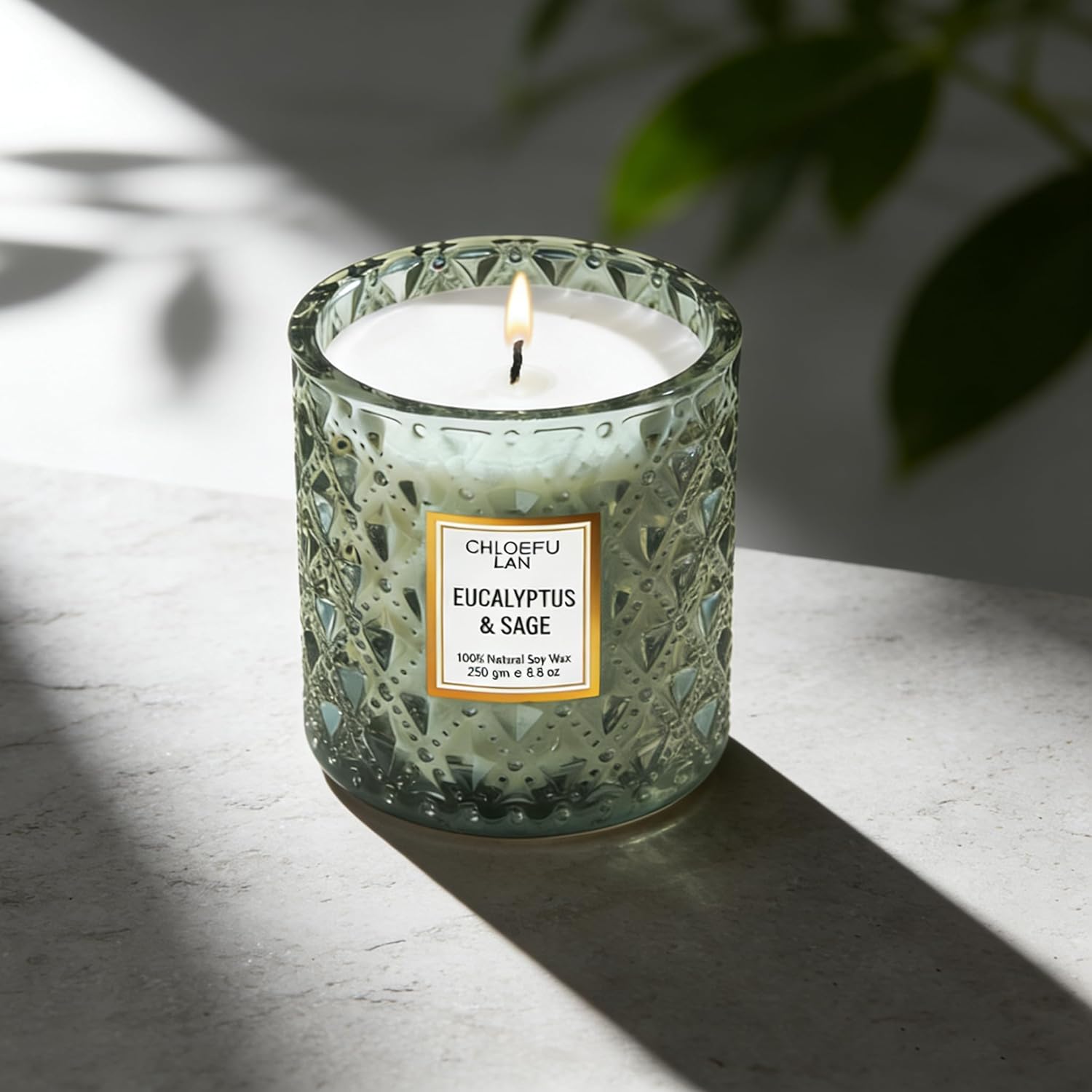 Chloefu LAN Eucalyptus & Sage Scented Candles Luxury Candle with up to 55 Hour Long Lasting, Highly Scented, 100% Soy Wax, 8.1oz, Beautiful Candles, Ideal for Home Decor and Gifts - Image 4