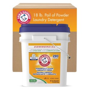 Arm & Hammer Powder Laundry De...