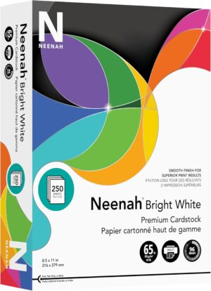 Neenah Bright White Bright White Ca...