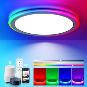 BLNAN Smart RGB LED Flush Mount Cei...