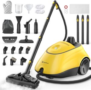 Heavy Duty Steam Cleaner, 1500W Hig...