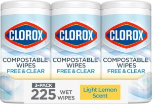 Clorox Free & Clear Cleaning W...