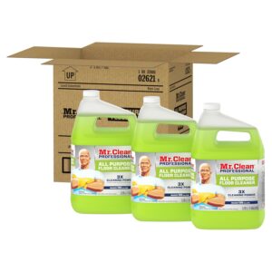 Mr. Clean Professional Bulk Liquid ...