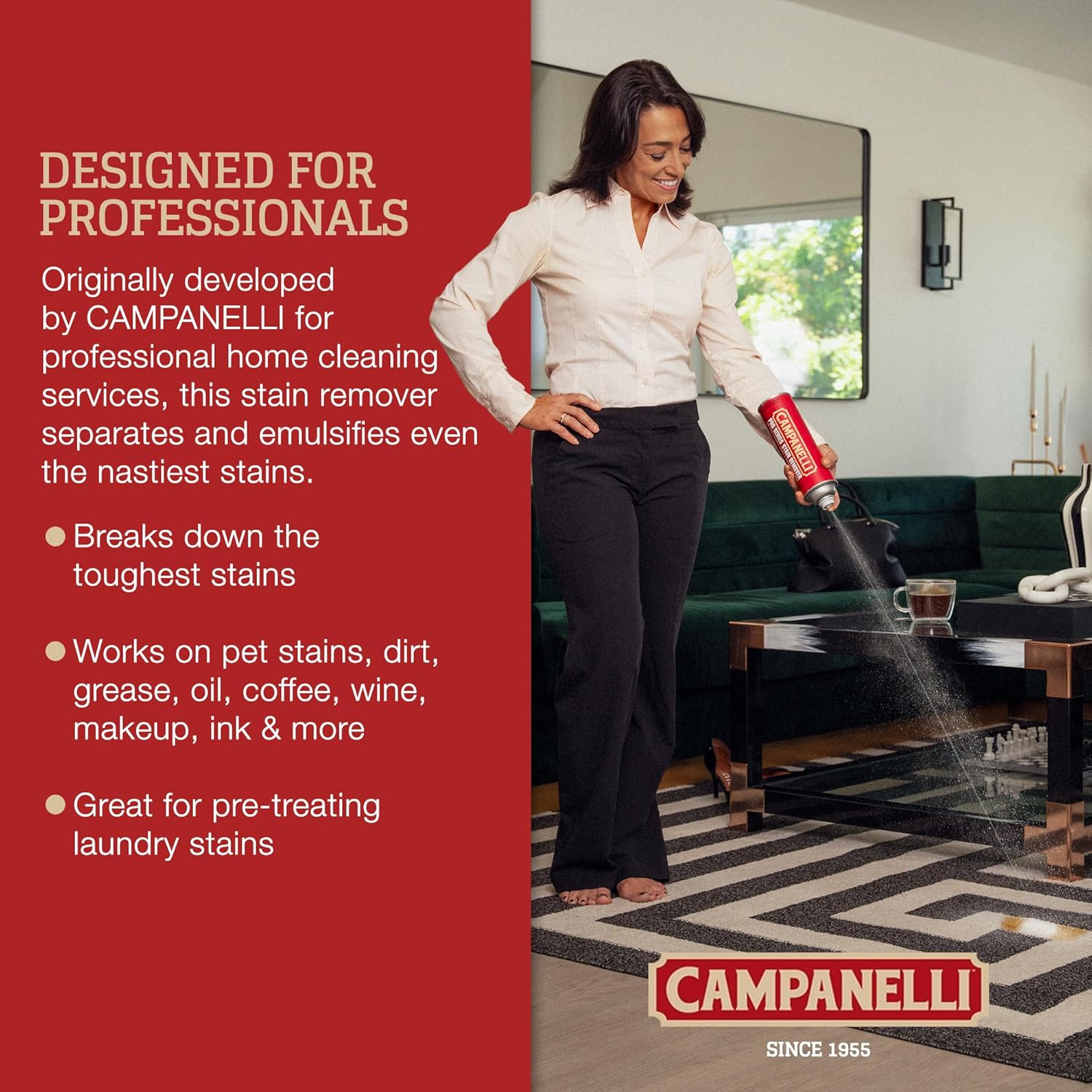 CAMPANELLI Pro Series Stain Remover Spray | Precision Point & Spray Carpet Cleaner for Pet Stains and Odors - Spot Remover for Carpets, Fabrics, Upholstery & Household Spills | 18oz Aerosol - Image 5