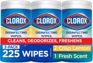 Clorox Disinfecting Cleaning Wipes ...