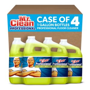 Floor Cleaner from Mr. Clean Profes...