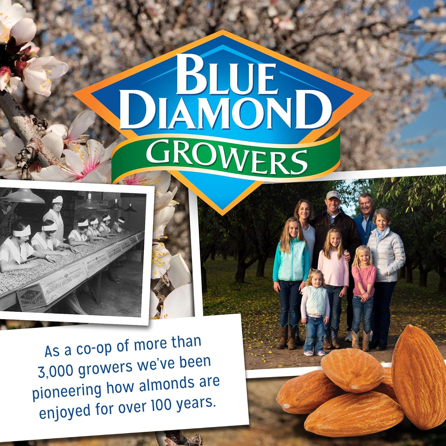 Blue Diamond Almonds Nut Thins Gluten Free Cracker Crisps, Hint of Sea Salt, 4.25 Oz Boxes (Pack of 1) - Image 7