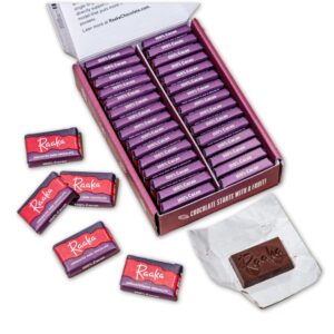 Raaka 100% Dark Chocolate Mini Bars...