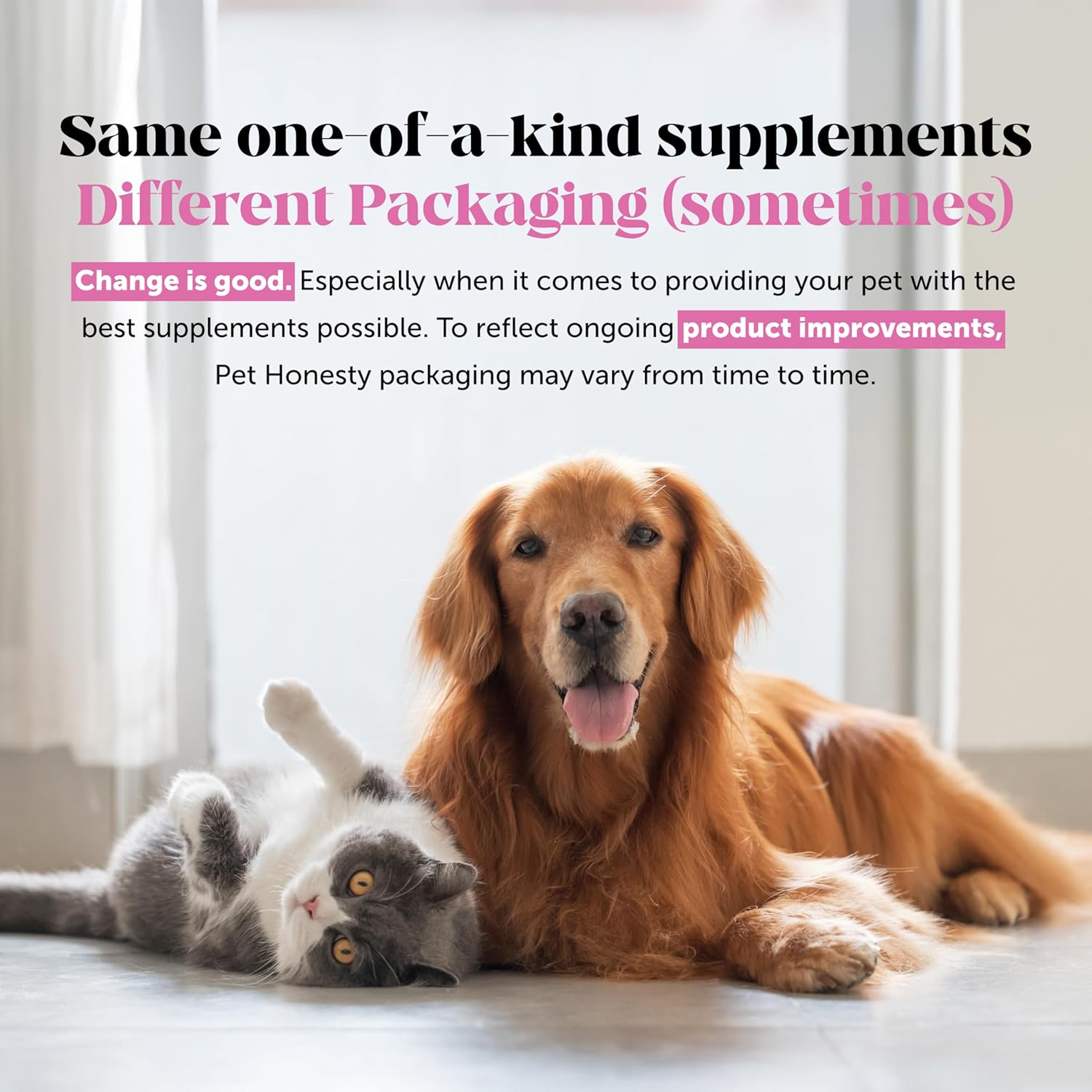 Allergy Skin Health – Allergy Itch Relief & Immune Support Chews with Fish Oil, Probiotics, & Vitamin E – Helps Reduce Normal Shedding, Soothe Sensitive Skin, & Digestive Health (Salmon Flavor, 90 Ct) - Image 9