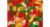 Sugar Free Gummy Bears, 1LB
