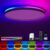 Matane Smart LED Ceiling Light WiFi, 12IN RGB Flush Mount Light Fixture, DIY Colors, Compatible with Alexa Google Home, 3000K-6500K Ceiling Lights for Bedroom, Living Room, White
