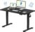 FLEXISPOT EN1 One-Piece Standing Desk, 48″x24″ Seamless Desktop Electric Height Adjustable for Home Office, Study Rooms & Multi-Device Workstations, Black
