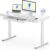 FLEXISPOT Comhar Electric Standing Desk with Drawers Charging USB A to C Port, Height Adjustable 48″ Whole-Piece Home Office Computer Laptop Table with Storage (White Top + Frame)