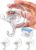 Antimbee 3 Pack Suction Cup Hooks, Clear Suction Cup Hanger, Removable Small Suction Cups for Shower, Bathroom, Glass, Door, Windows, Kitchen-Max Hanging up to 11 lbs on Smooth Surface