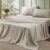 Bedsure Queen Sheet Set – 4 Pieces Soft Queen Size Sheets – Breathable & Cooling – Hotel Luxury – Easy Care Polyester Microfiber Bedding for Women, Men, Linen