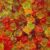 Sugar-Free Gummi Bears | 1 Pound Pack | 3D Chewy Gummy Candy | Assorted Fruit Flavors